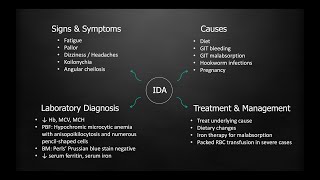 A Quick 14 minutes Overview on Iron Deficiency Anemia (IDA): The Most Common Nutritional Anemia