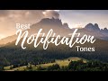 Top 20 Notification Tones 2019 [Download Links]