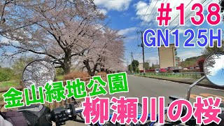 #138【金山緑地公園と柳瀬川の桜を見に行く】GN125Hで行くご近所探訪シリーズ　ノーマークだった圧巻の桜並木に大満足