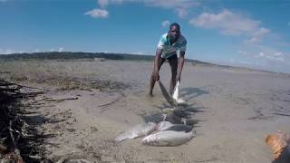 Fishtraps of Kosi Bay - iSimangaliso