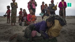 Rohingya Refugee Crisis Declared ‘Ethnic Cleansing’