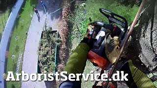 Dump container slide line - Tree rigging - Tree removal - Træfældning - Tree Climbing Arborist