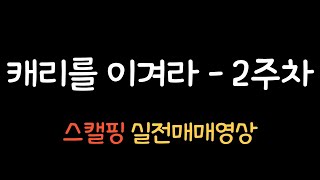 캐리를 이겨라 2주차 실전매매영상