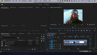 Adobe Premiere Pro: Automatic Scene Detection