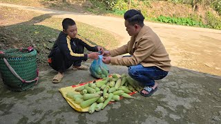 The Boy breaks corn stalks to sell and harvests vegetables grown on his farm.