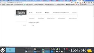 Custom Variables (1.1.0) - Wordpress plugin