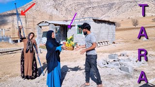 Fury of the cobra: giving flowers to Mehdi by the evil woman.