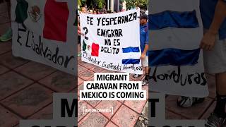 Illegal immigrants are on their way up from Mexico in a migrant caravan ahead of midterm elections