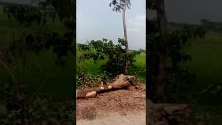 যশোর সদর টু বাঘারপাড়া নারকেলবাড়িয়া