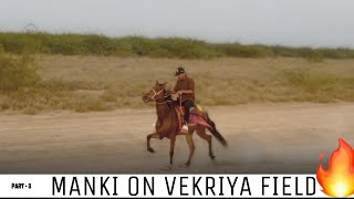 MANKI ON VEKRIYA FIELD ❤️‍🔥 | | PART - 08 | | #kutchisindhihorse #horsetraining