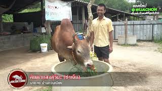 สหายมาเยือน📌สนามนานาชาติ 18/9/66 คู่ที่1 ลันดาแสงสุริยะ (ชาเย็น)