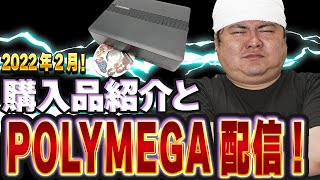 [POLYMEGA]2月に購入したゲームの紹介とPOLYMEGAでゲームプレイをしていく雑談配信