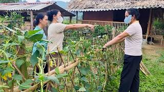 Unable to swallow her anger, Mrs. Hoc went back down to find Chinh's mother