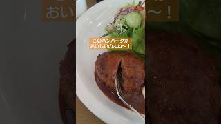 ハンバーグがおいしい！ ランチのお得なトリオ レストラン サンヒルズで食べてみて〜！