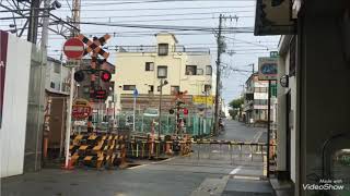 今まで撮った南海高野線の踏切