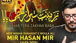Zainab Tera Zakhmi Baba | Mir Hassan Mir | Nohay 2021 | 21 Ramzan Noha 2021 | Moula Ali Noha 2021