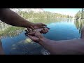 Brook Trout Blast at Skelton Lake (Near Mammoth Lakes,CA)