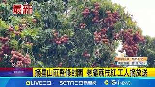 台中市潭子市定古蹟「摘星山莊」整修封園 1月底休館進行整修 豐盛果實荔枝樹 工人摘放送│記者 林佩萱 曹勝彰 │【新聞一把抓】20240630│三立新聞台