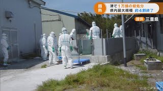 豚熱で4500頭のブタ殺処分…三重・津市の養豚場 国の疫学調査ﾁｰﾑ現地入り