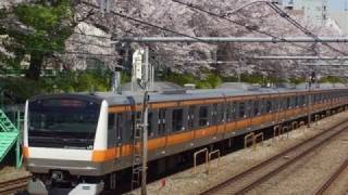 (HD) 桜と中央線 E233系快速電車 (Sakura blossoms and rapid train)