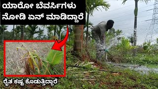 ಯಾರೋ ಬೆವರ್ಸಿಗಳ ನೋಡಿ ಏನ್ ಮಾಡಿದ್ದಾರೆ 😮‍💨 Poor Suffering Of Farmers #kannadavlogs #farmer #villagevlogs