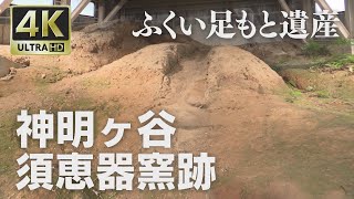 4K映像 ふくい足もと遺産「神明ヶ谷須恵器窯跡」