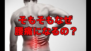 【腰痛 原因】そもそもなぜ腰痛になるの？【腰痛 三重県 桑名市 整体】