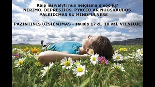 Neigiamų emocijų paleidimas su Mindfulness 2020 01 17