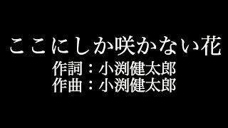 【ここにしか咲かない花】コブクロ   　歌詞付き　full　カラオケ練習用　メロディあり 【夢見るカラオケ制作人】