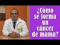 ¿Cómo se forma un cáncer de mama?