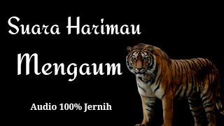 Sound Harimau Mengaum