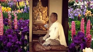 Sayagyi U Ba Khin Tikapatthana Chanting