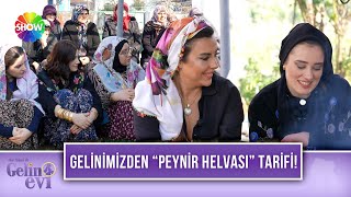 İrem H. Gelin: \