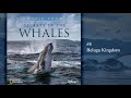 Music from Secrets of the Whales - Beluga Kingdom (Soundtrack by Raphaelle Thibaut)