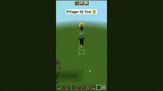 Pillager IQ Test in Minecraft 🤔#shorts #minecraft