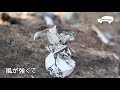 【defenderで行く北海道旅】番外編　田舎暮らしの春の1日