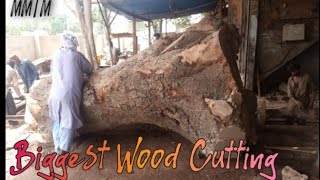 Biggest Wood in Pakistan