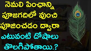 నెమలి పింఛాన్ని పూజగదిలో వుంచి పూజించడం ద్వారా ఎటువంటి దోషాలు తొలగిపోతాయి.?