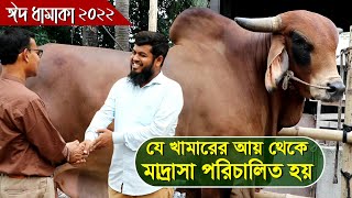 780-ঈদ ধামাকা-২২, যে খামারের আয় থেকে মাদ্রাসা পরিচালিত হয়,কাাঁচপুর R.I.Manik.Chitrapuri Krishichitra