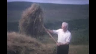 Farming practices at Granamore, Co. Wicklow, Ireland in the late 1960s