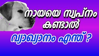 നായയെ സ്വപ്നം കണ്ടാല്‍ വ്യാഖ്യാനം എന്ത്