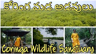 Coringa Wildlife Sanctuary | కోరింగ మడ అడవులు | కోరంగి అభయారణ్యం | Kakinada | (2020)