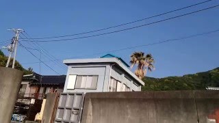 伊豆　井田海岸