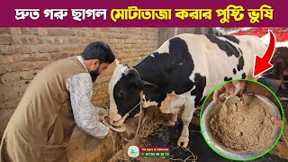 দ্রুত গরু ছাগল মোটাতাজা করার পুষ্টি ভুষি || গরু মোটাতাজাকরণ পদ্ধতি-২০২৫