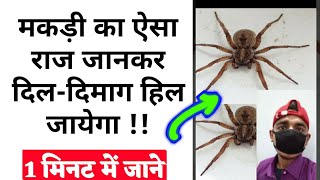 एक मकड़ी के कितने पैर और घुटने होते है जानकर आश्चर्य होगा How Many Leg, Knee In Spider Facts #Shorts