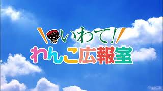 いわて！わんこ広報室【第17回】