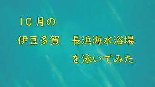 10月の伊豆多賀　長浜海水浴場泳いでみた