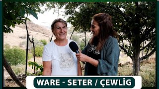 WARE - SETER / ÇEWLÎG