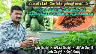 🌱பப்பாளி விவசாயம் தொடங்க ஆசையா?  🌱Papaya Cultivation Methods 🟠பப்பாளி சாகுபடி ☎️8125724702