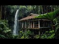 🌧Suara Hujan Pengantar Tidur, Tertidur Nyenyak Dalam 7 Menit Dengan Suara Hujan Deras Di Hutan, ASMR